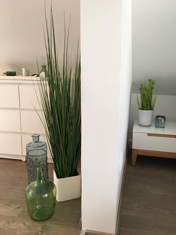 Ferienhaus Zur Mainpforte ไมนซ์ ภายนอก รูปภาพ
