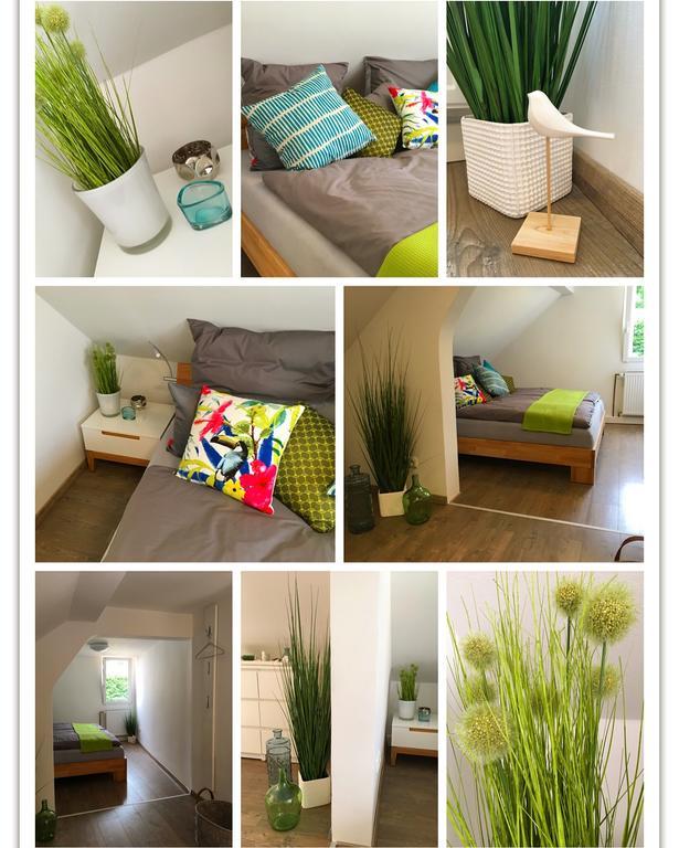 Ferienhaus Zur Mainpforte ไมนซ์ ภายนอก รูปภาพ