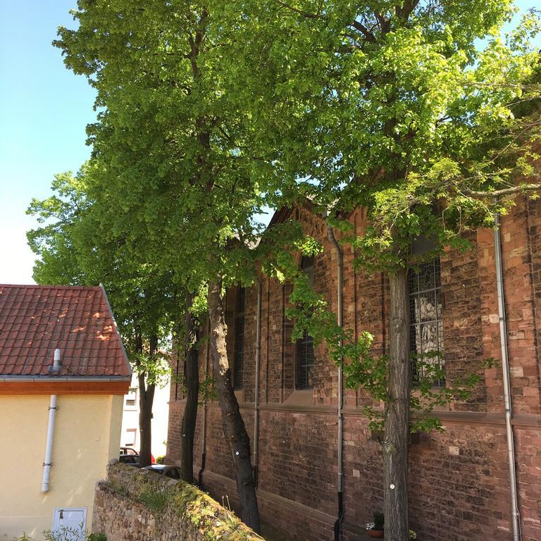 Ferienhaus Zur Mainpforte ไมนซ์ ภายนอก รูปภาพ